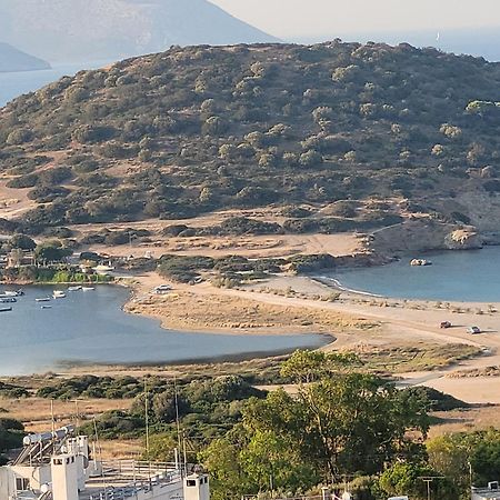 Charming Coastal Retreat Διαμέρισμα Ανάβυσσος Εξωτερικό φωτογραφία